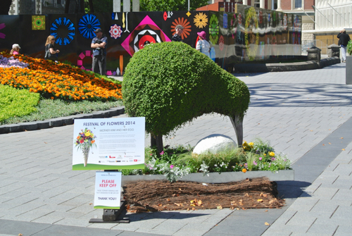 2014 | NZ Südinsel | «Christchurch», Canterbury Region: Bei unserem Besuch war gerade «Blumenfestival».