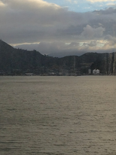 2014 | NZ Südinsel | «Picton Harbour», Marlborough District: Ankunft mit der Fähre von Wellington durch di gefährliche «Cooks Strait».