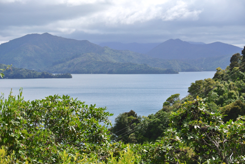 2014 | NZ Südinsel | «Marlborough Sounds»: Absolute «Wahnsinns-Gegend»! Ausgedehntes Netzwerk von Wasserwegen und Halbinseln.