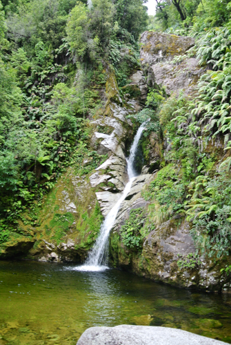 2014 | NZ Südinsel | «Dorothy Falls», Hokitika, Westland District, West Coast Region: «Lake Kaniere Scenic Reserve».