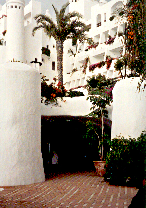 Teneriffa '91 | Hotel «Jardin Tropical».