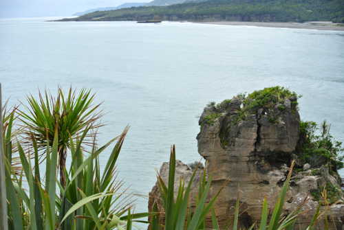 2014 | NZ Südinsel | Punakaiki, West Coast, «Pancake Rocks & Blowholes: Riesen-Touristen-Attraktion. Kuriose Kalkstein-Formationen. 