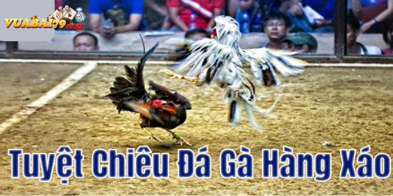 Chiến Thuật và Kỹ Thuật: Bí Quyết của Cao Thủ Vegas79 trong Đá Gà Hàng Xáo