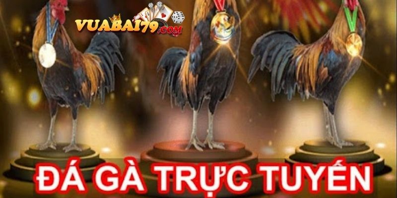 Giới Thiệu Về Đá Gà Trực Tuyến và Ứng Dụng Vegas79: Nền Tảng Đá Gà Uy Tín Nhất 2024