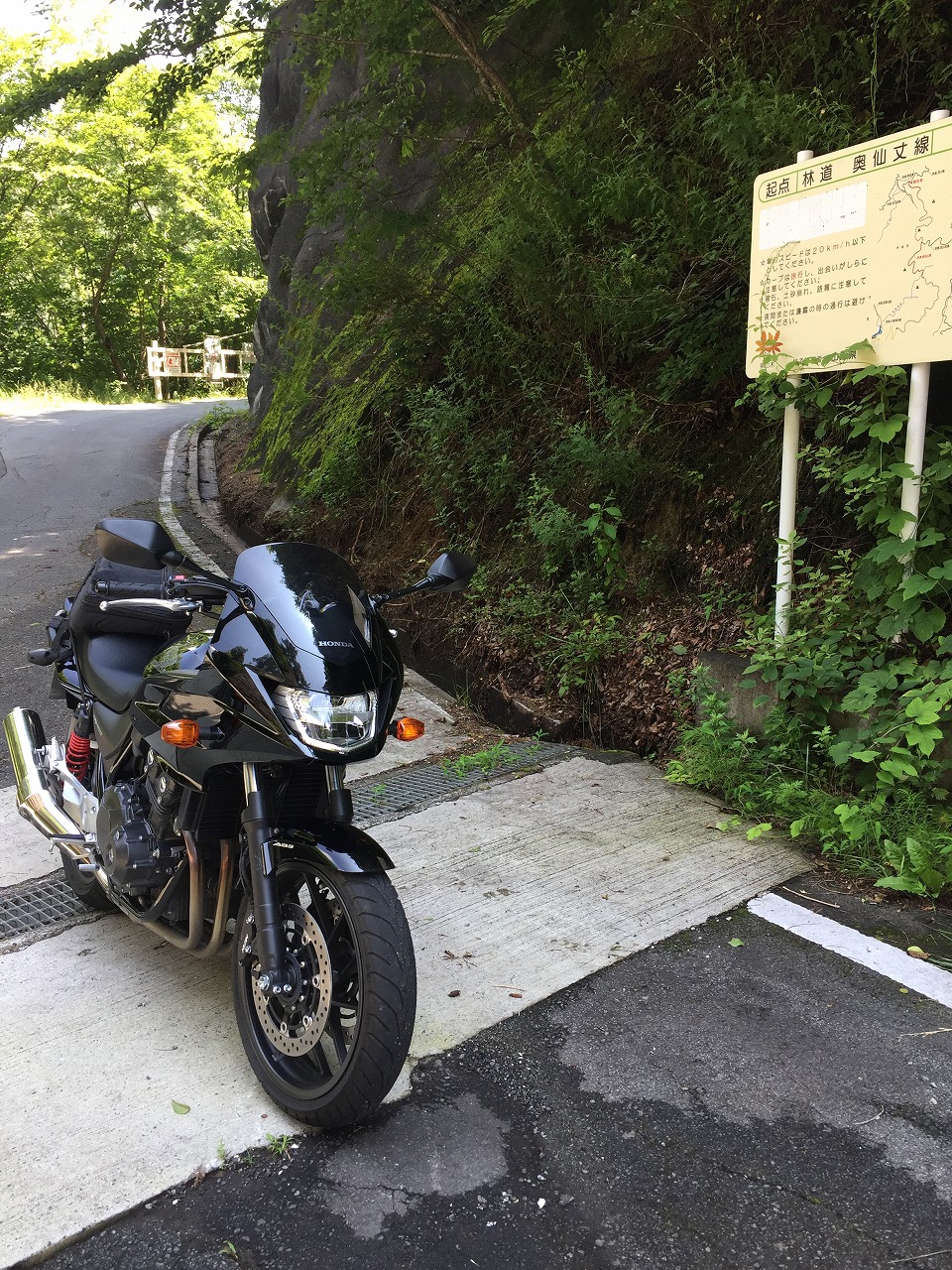 いい雰囲気の林道２