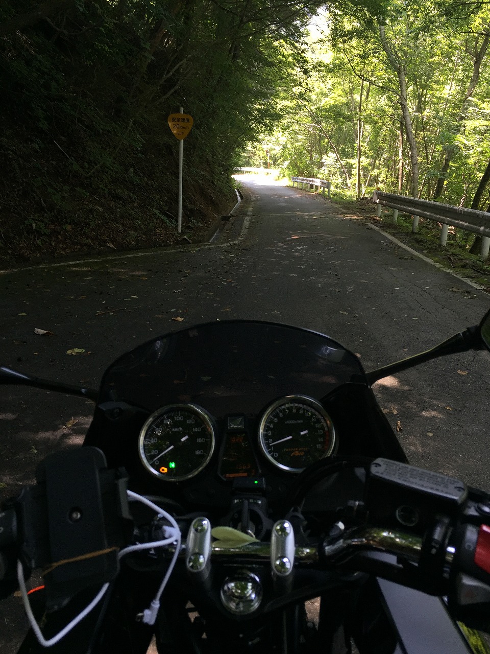 いい雰囲気の林道１