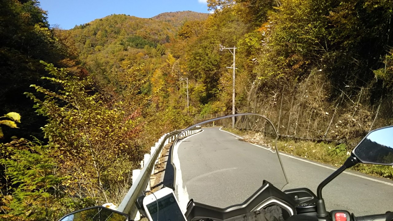 P12　紅葉に癒やされる