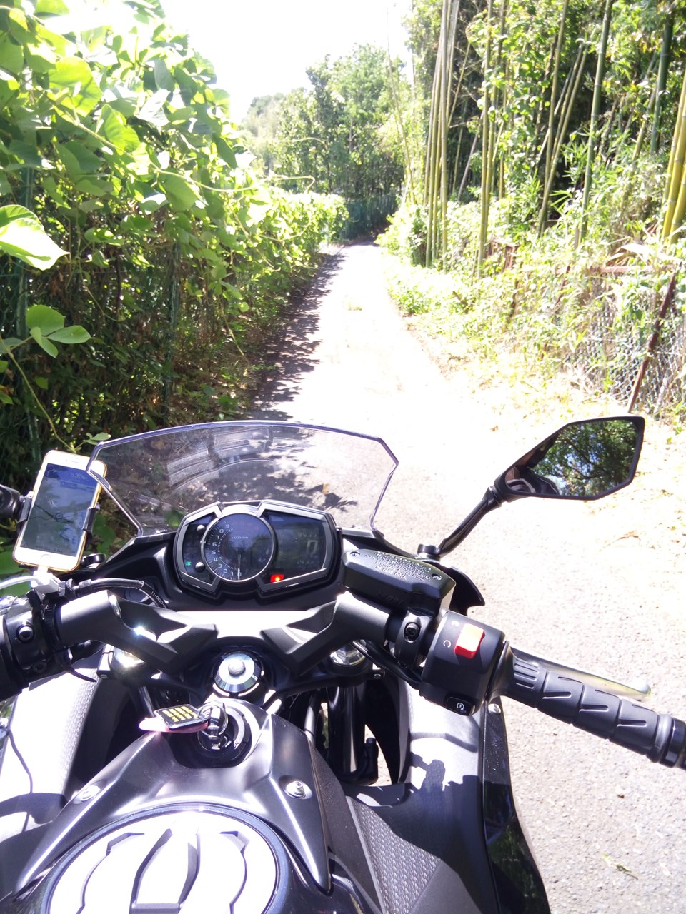 思わず笑ってしまうような国道308