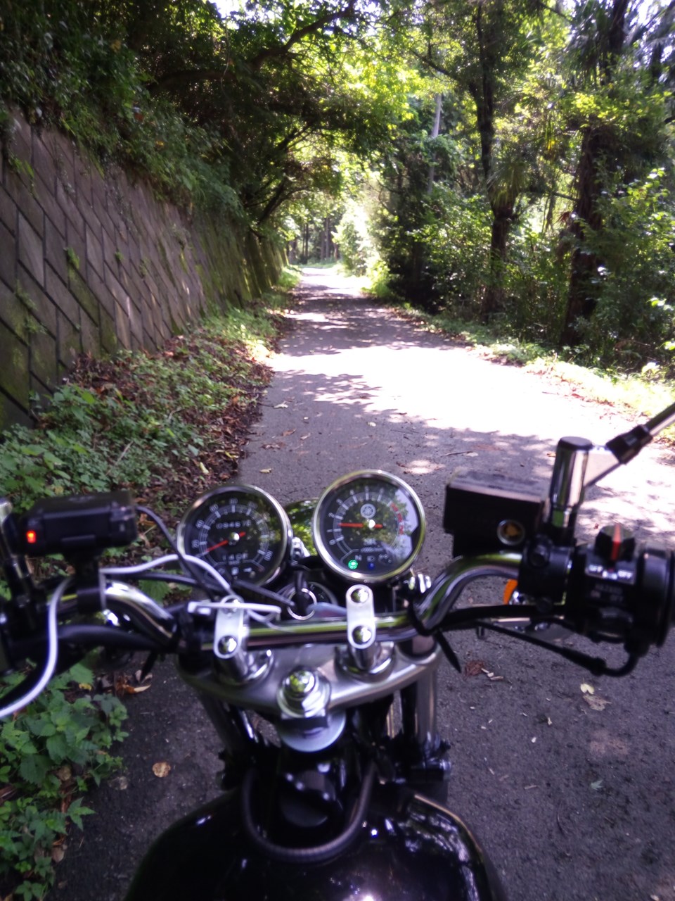 県道331も素敵な道２