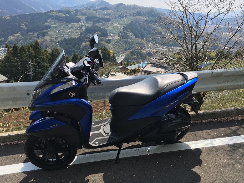 はるか麓に東名高速が見える