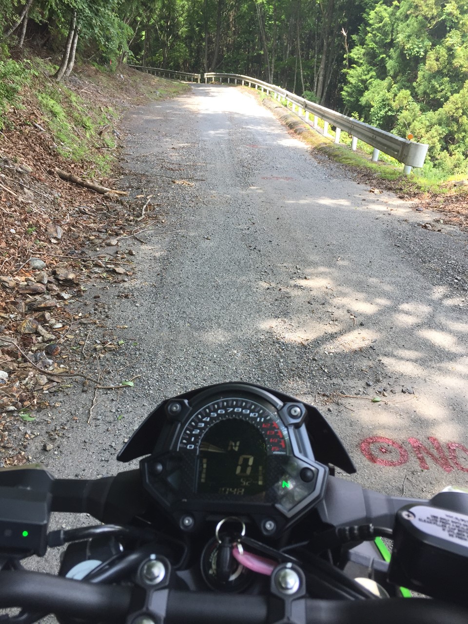 林道:時々フラットダートというかあれてる