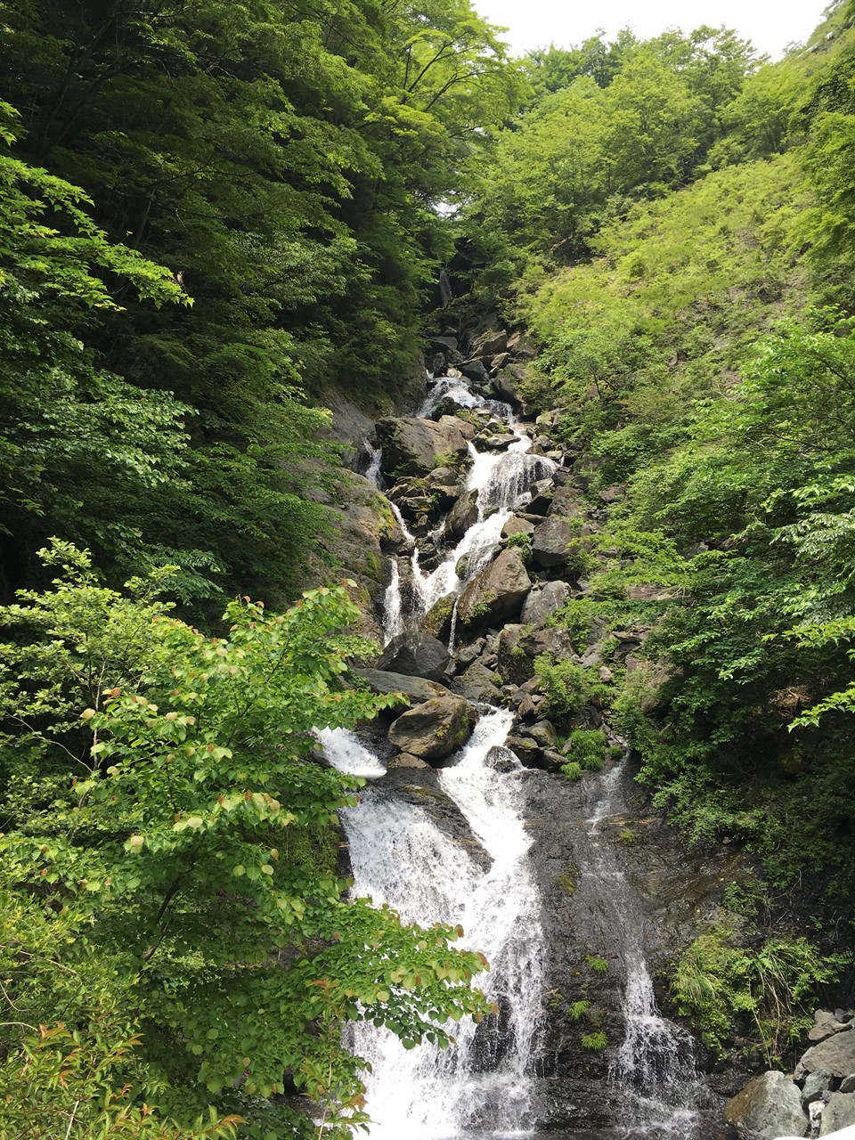 林道:鯉が滝2
