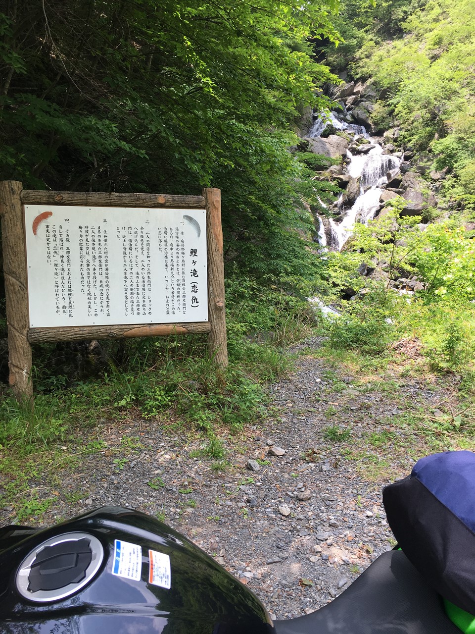 林道:鯉が滝1
