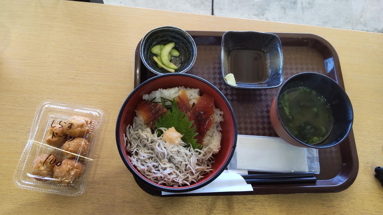 P-03 渚の交流館 ミニ2色丼 往路ランチ