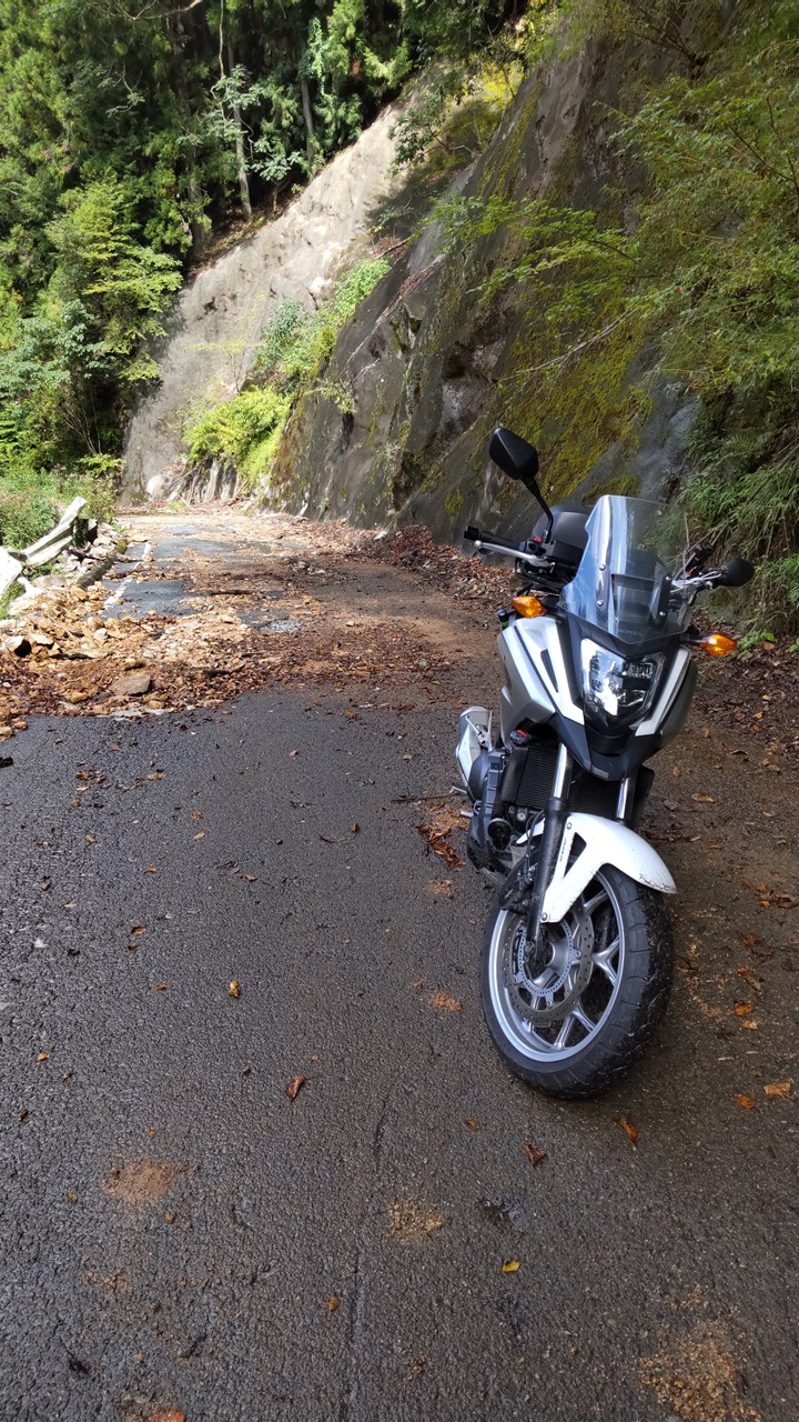 P-07　林道小和田水窪線　路面悪い