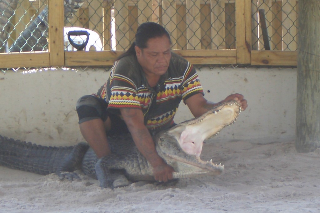 Auf die Frage, wie lange man mit dem Aligator trainieren muss um so etwas machen zu können antwortete der Indianer:" Das kann man nicht trainieren! Diesen Alligator haben wir vor 4 Tagen gefangen."