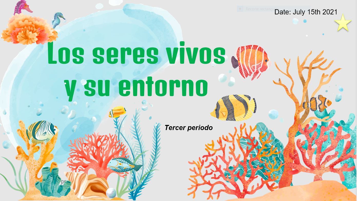 Los seres vivos y su entorno - Página web de aulateachermyriam