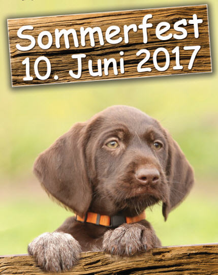 Sommerfest Flyer