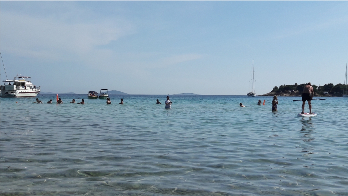 summer-of-science-blogs Webseite!