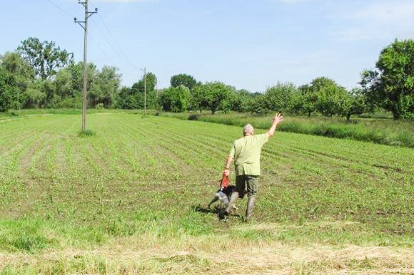 Der erste Suchengang mit Handzeichen