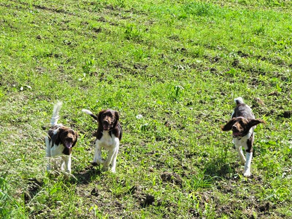 "Macht das Spaß mit meinen Geschwistern zusammen."