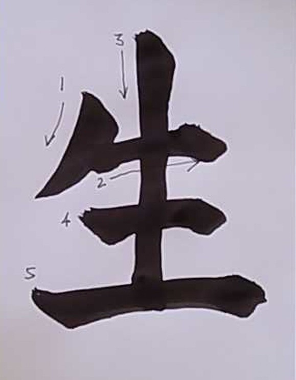 kanji anatomie 022 Leben