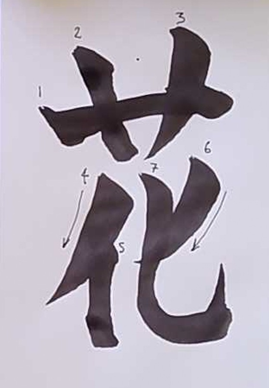 Kanji Anatomie 016 Blume