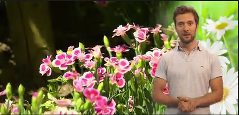 Gardening Mein Kleinod