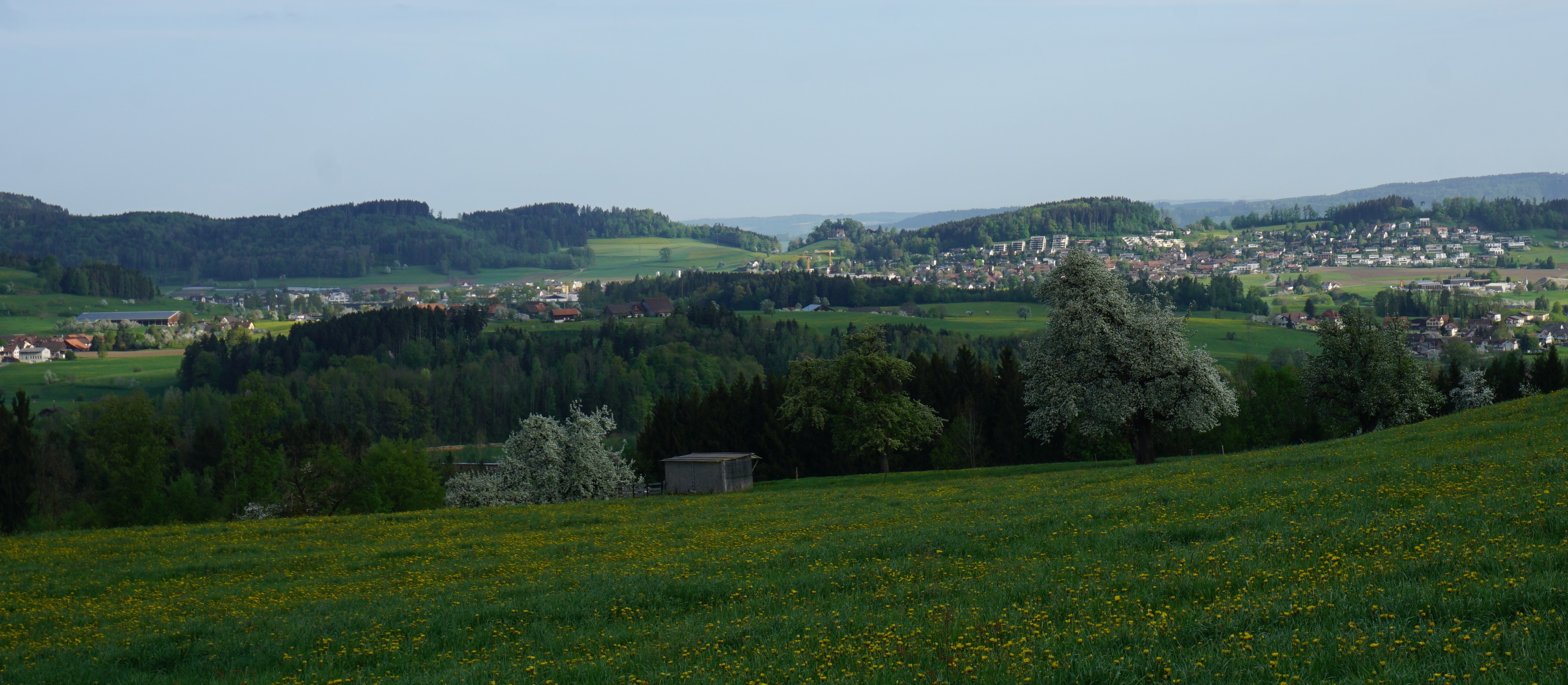 Tannzapfen land Tannzapfen lands Webseite tannzapfen-land-tannzapfen-lands-webseite