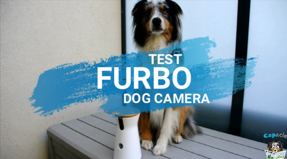 Furbo : Dog Camera
