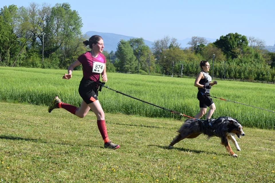 Comment se passe une compétition de canicross