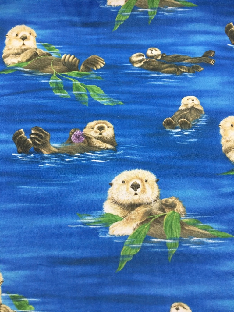 Mr.Beaver GermanScrubs