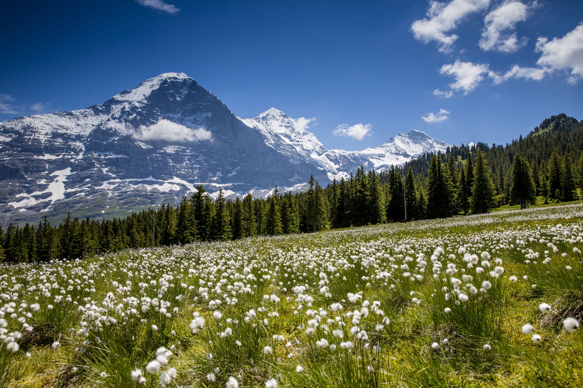 Interlaken: A Guide to the Top 10 Attractions and Activities