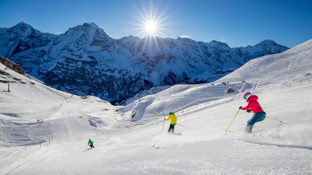 Cheap skiing holidays in the Jungfrau Region with the Winterlaken card Interlaken Adventure Hostel