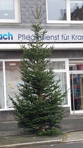 Mickriger Heckinghauser Weihnachtsbaum