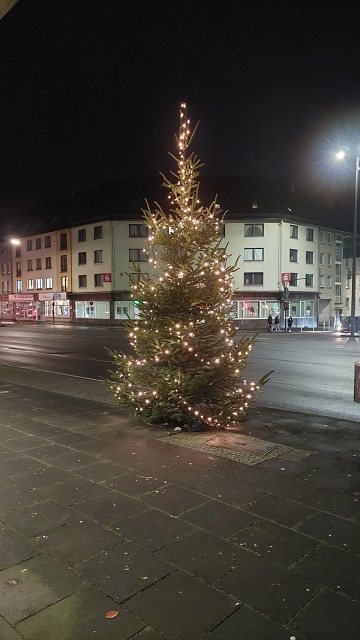 Kleiner Weihnachtsbaum - Was nun?