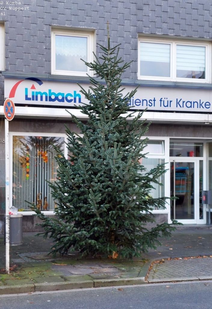 Heckinghauser Weihnachtsbaum aufgestellt