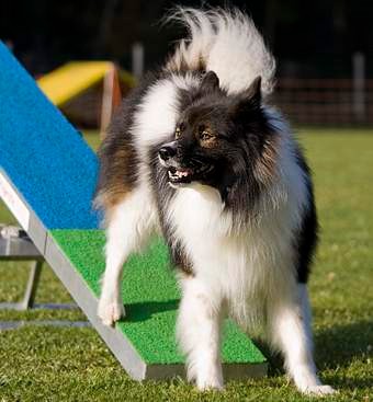 Ares