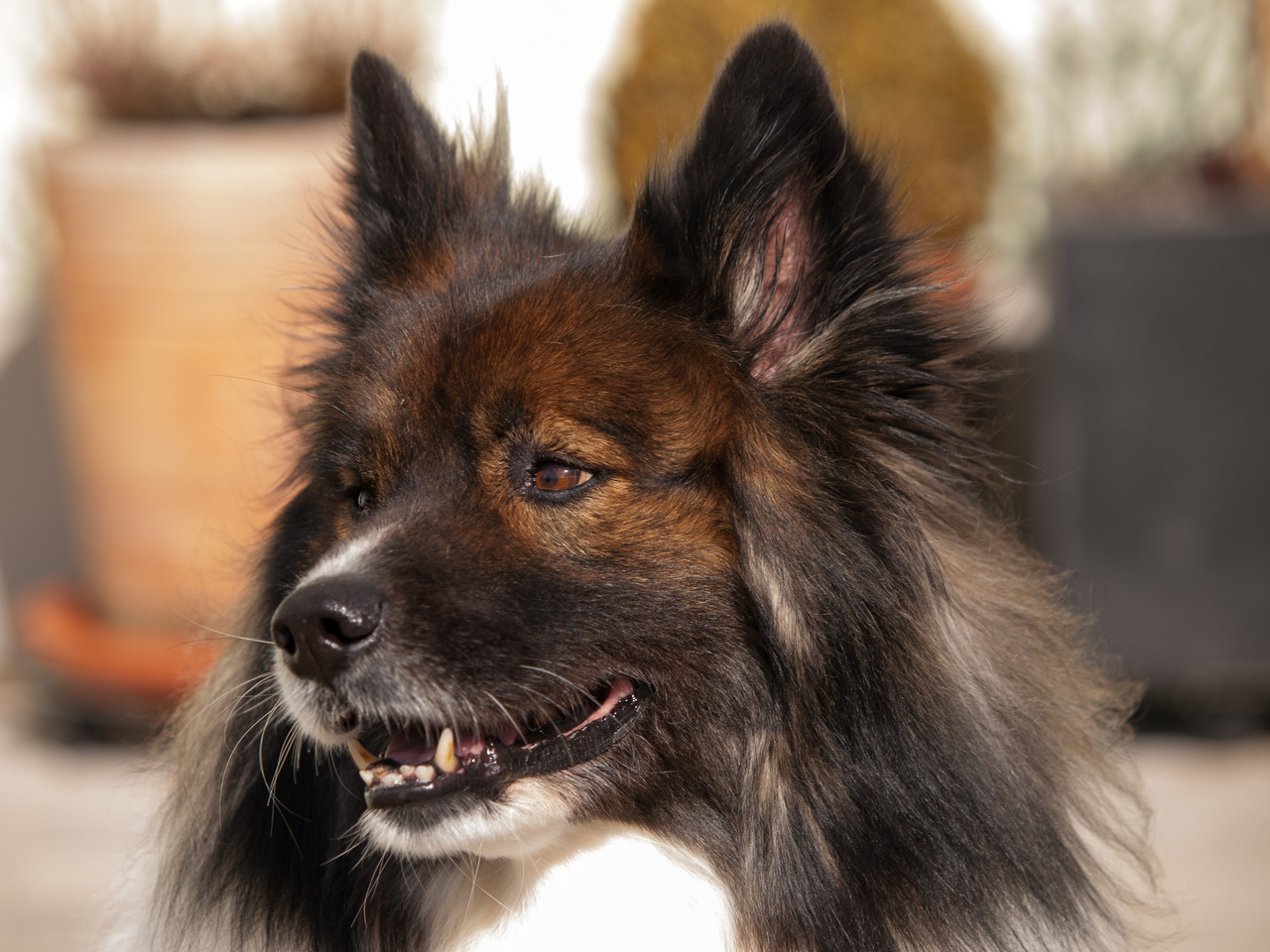 Ares