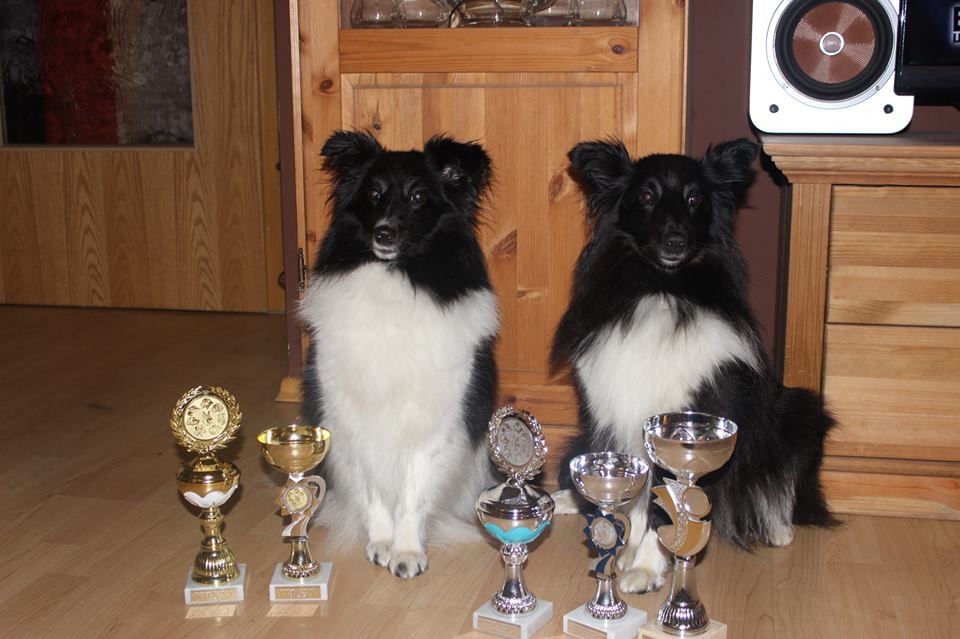 Luna und Fly haben mächtig abgesahnt :-)!