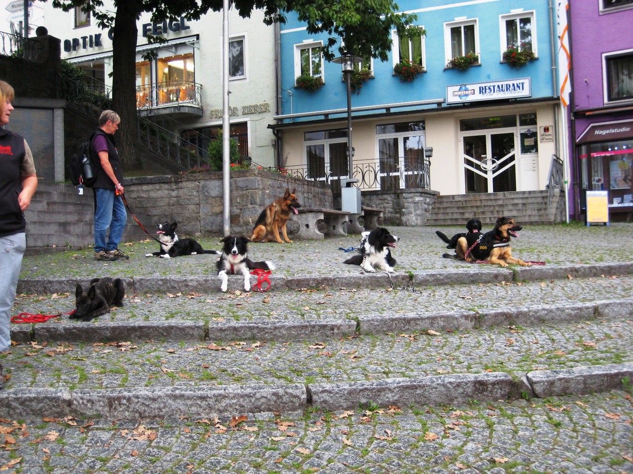 Stadtgang in Regen