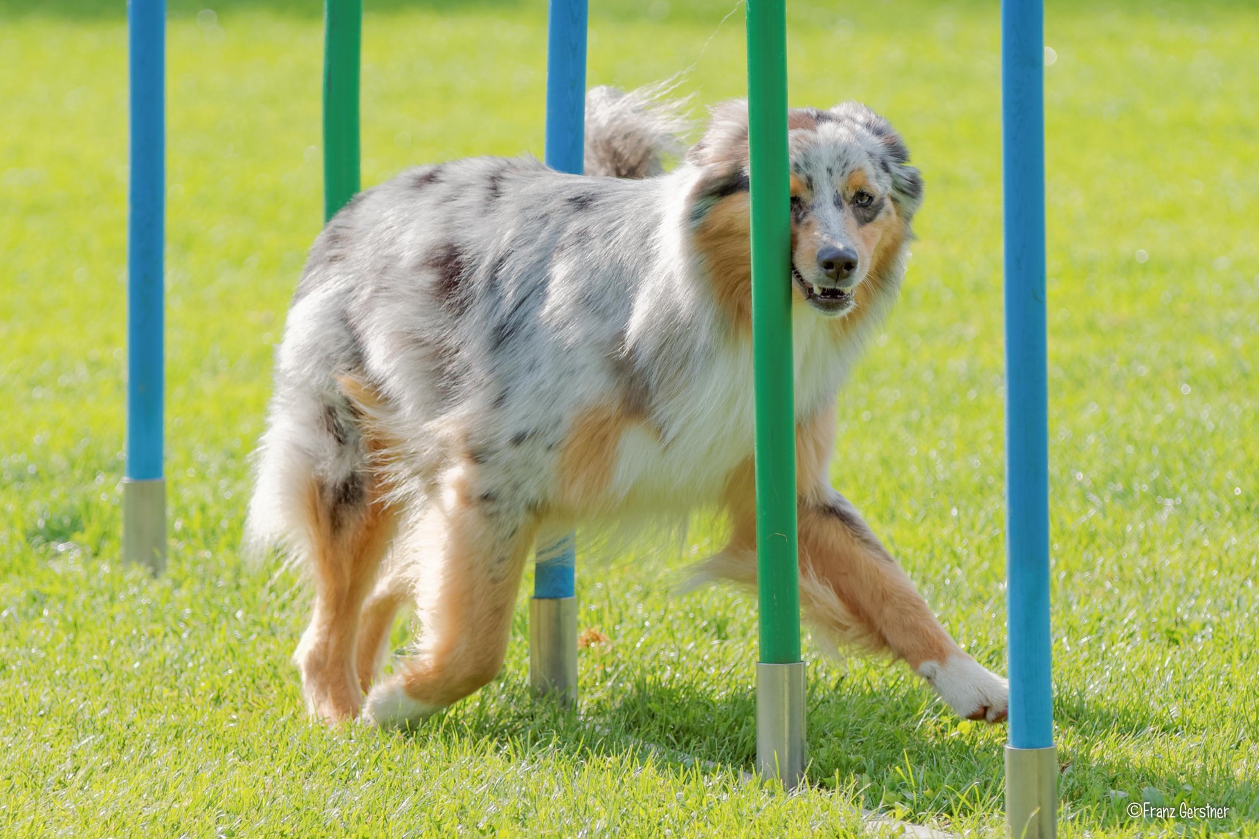 19