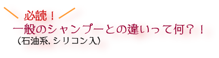 必読!一般のシャンプー(石油系、シリコン入)との違いって何?!