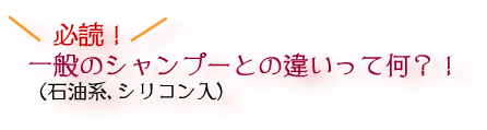 必読！一般のシャンプー（石油系、シリコン入）との違いって何？！