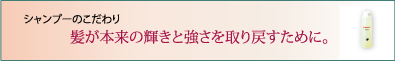 シャンプーのこだわり　髪本来の輝きと強さを取り戻すために。