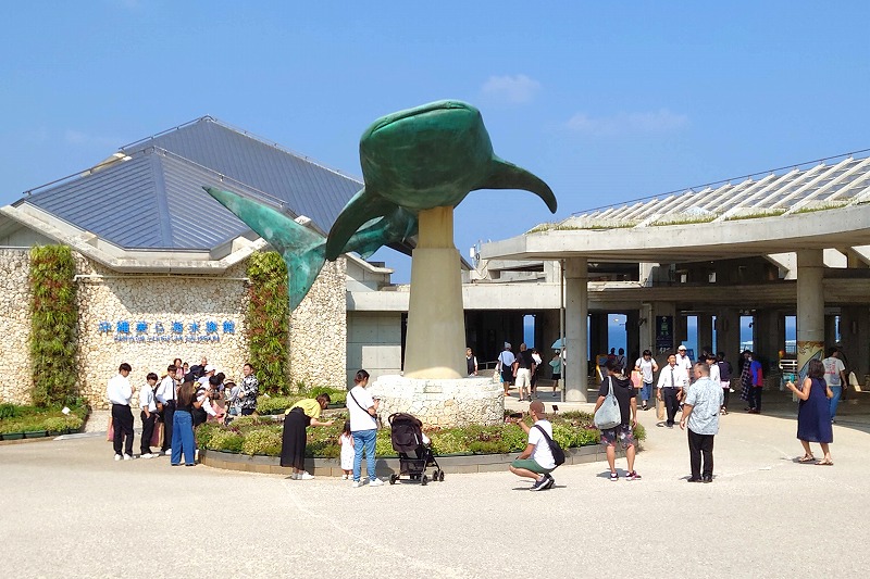 【子連れにおすすめ】沖縄美ら海水族館をさらに楽しむ2つのポイント！イルカのえさやり体験＆巨大遊具