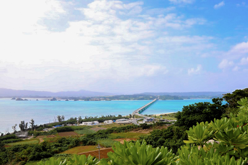 カートから見える古宇利島