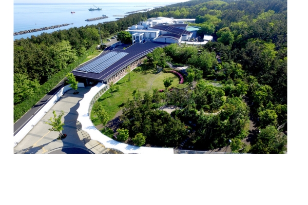 <div style=" font-size:10px; font-weight:bold;"> 新潟市水族館マリンピア日本海　招待券 </div>  <div style=" font-size:10px;"> 約600種2万点の水生生物を飼育展示する水族館。ダイナミックなジャンプが人気のイルカショーは毎日開催！ </div>