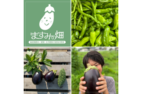 <div style=" font-size:10px; font-weight:bold;">ますみの畑</div>