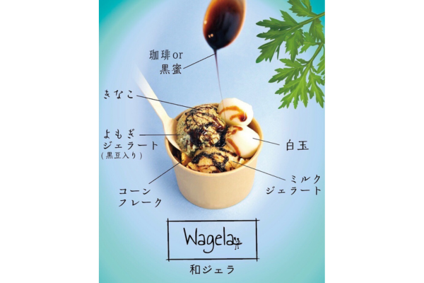 <div style=" font-size:10px; font-weight:bold;">Wagela</div> 